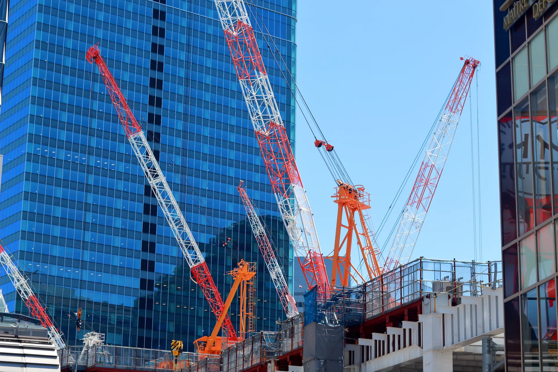 image of shibuya walking