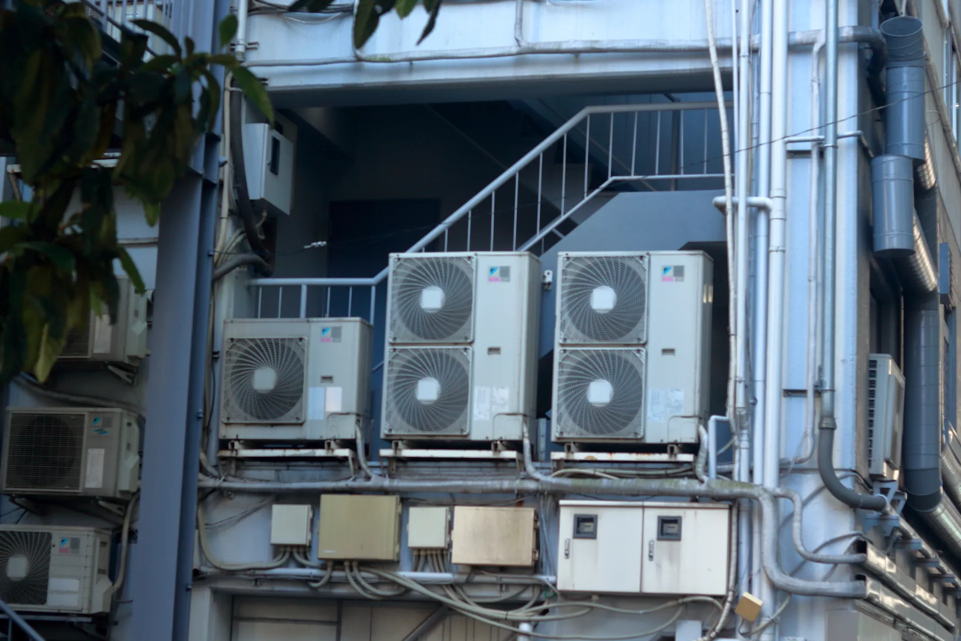 image of shibuya walking