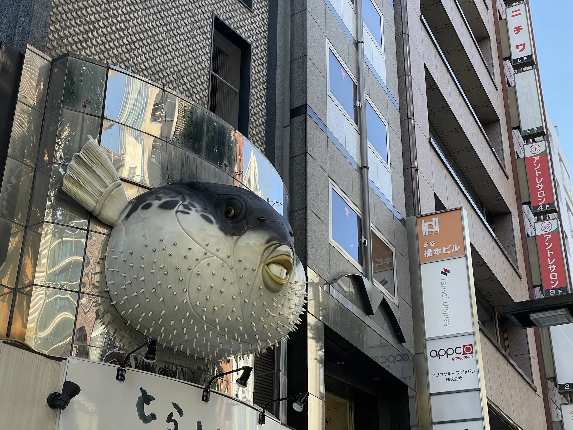 image of shibuya walking