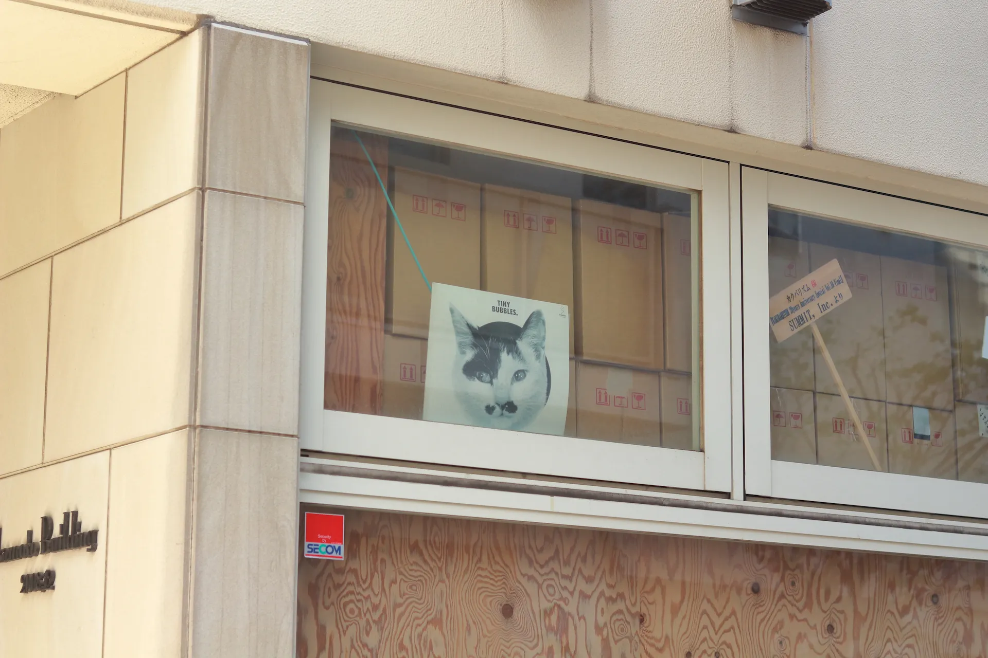 image of shibuya walking