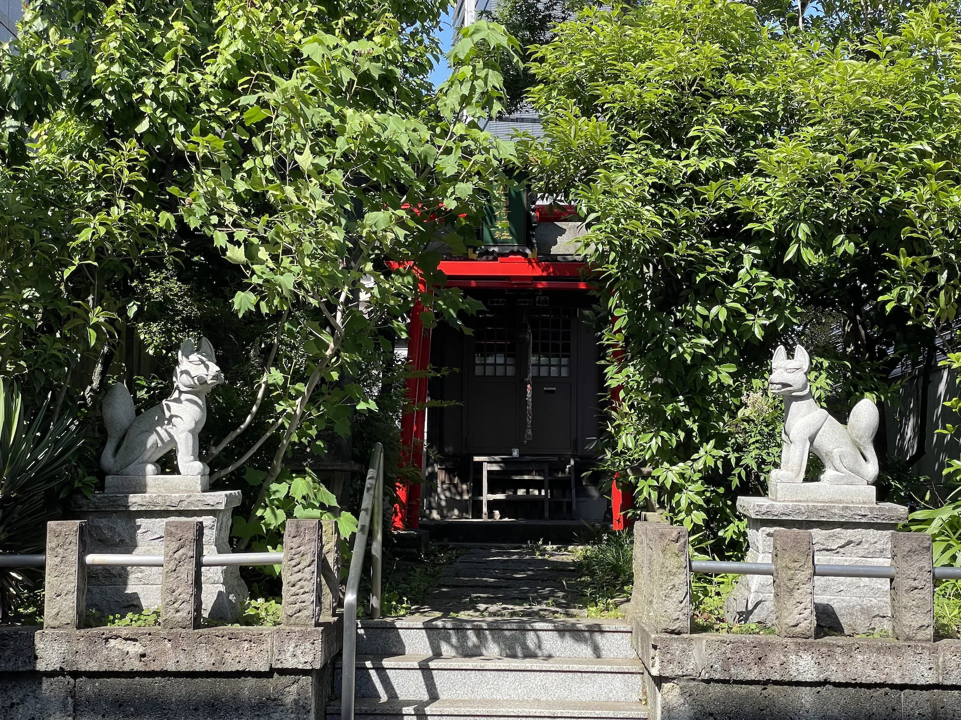 image of shibuya walking